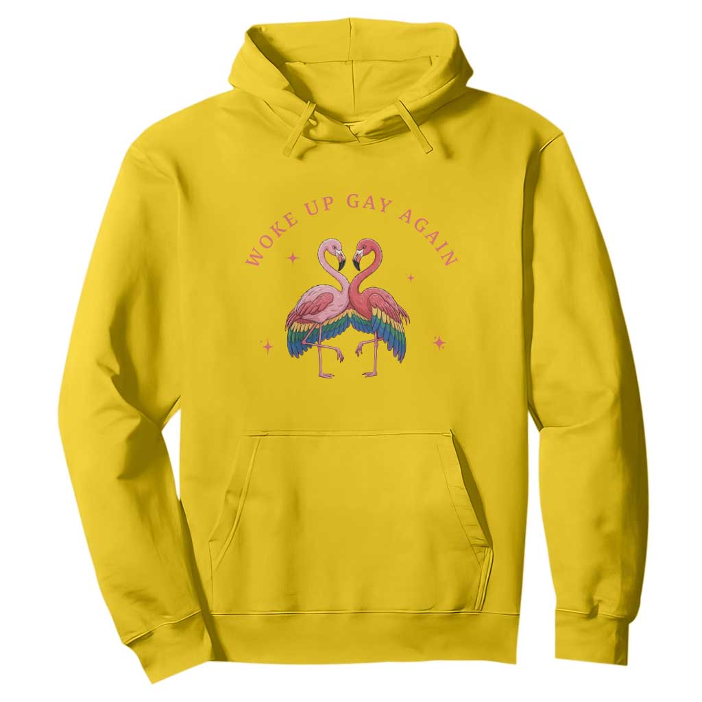 Funny Flamingos Woke Up Gay Again Hoodie Gift For Queer Bird Lovers TS12 Daisy Print Your Wear