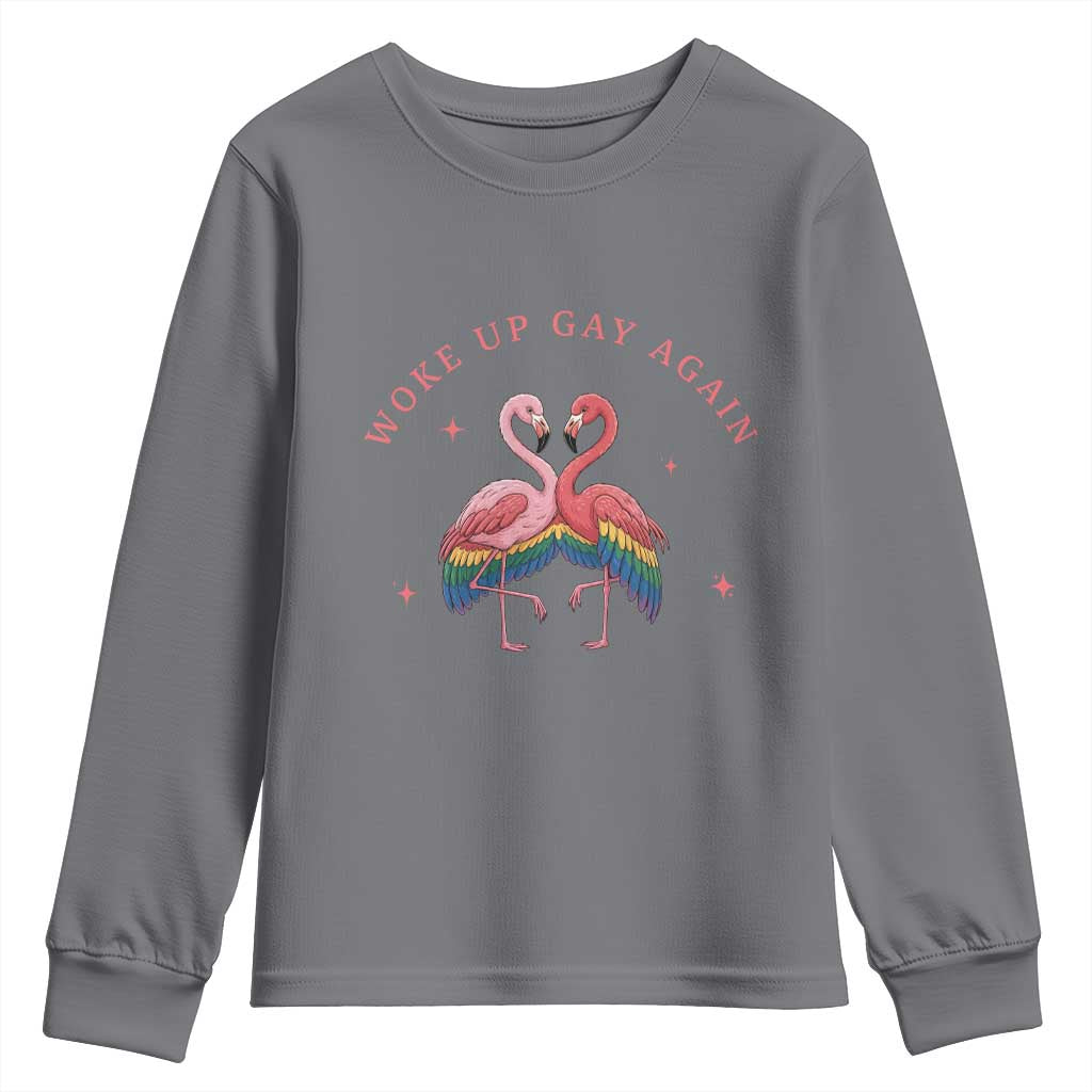Funny Flamingos Woke Up Gay Again Youth Sweatshirt Gift For Queer Bird Lovers TS12 Charcoal Print Your Wear