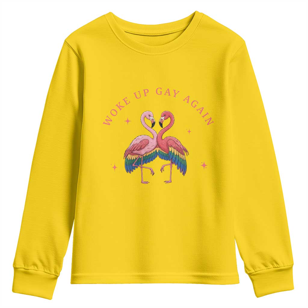 Funny Flamingos Woke Up Gay Again Youth Sweatshirt Gift For Queer Bird Lovers TS12 Daisy Print Your Wear