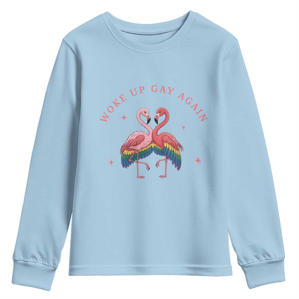 Funny Flamingos Woke Up Gay Again Youth Sweatshirt Gift For Queer Bird Lovers TS12 Light Blue Print Your Wear