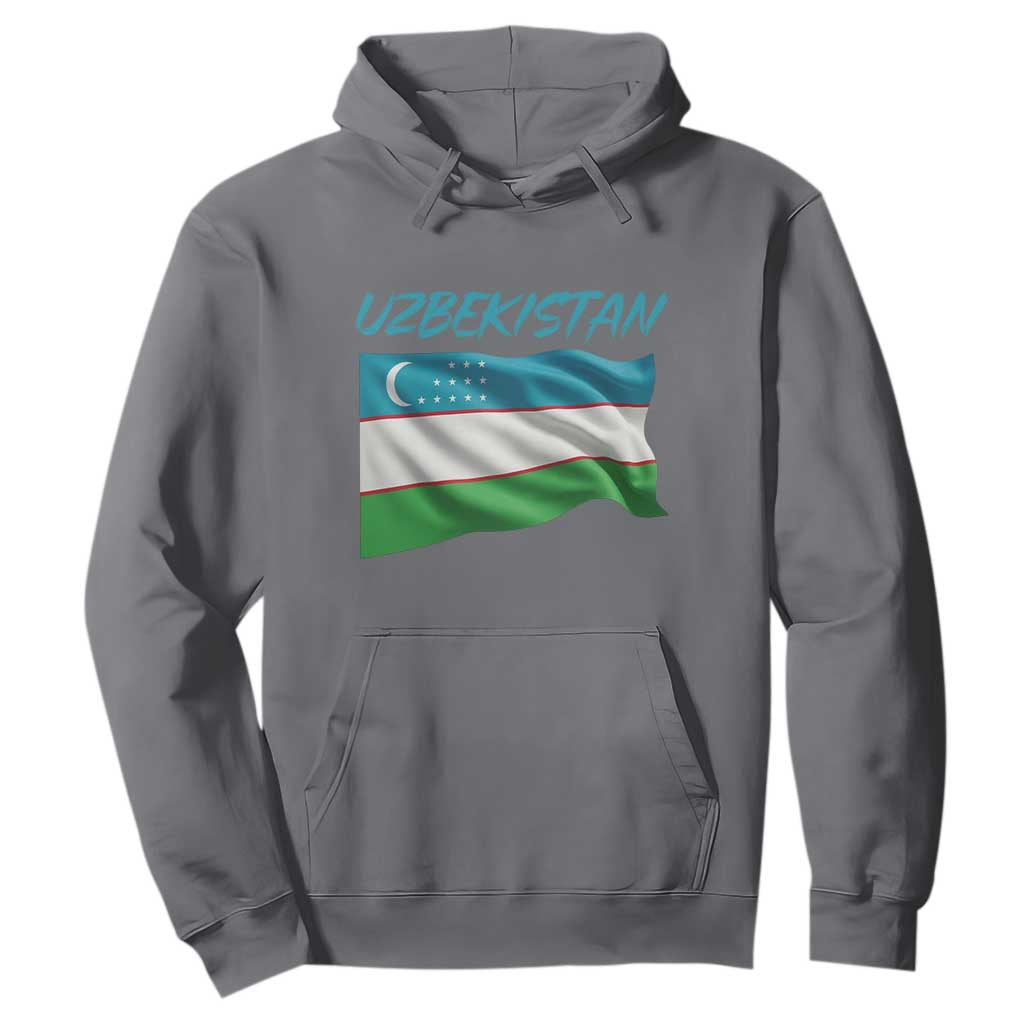Vintage Uzbekistan Flag Hoodie Proud Uzbek Roots Gift