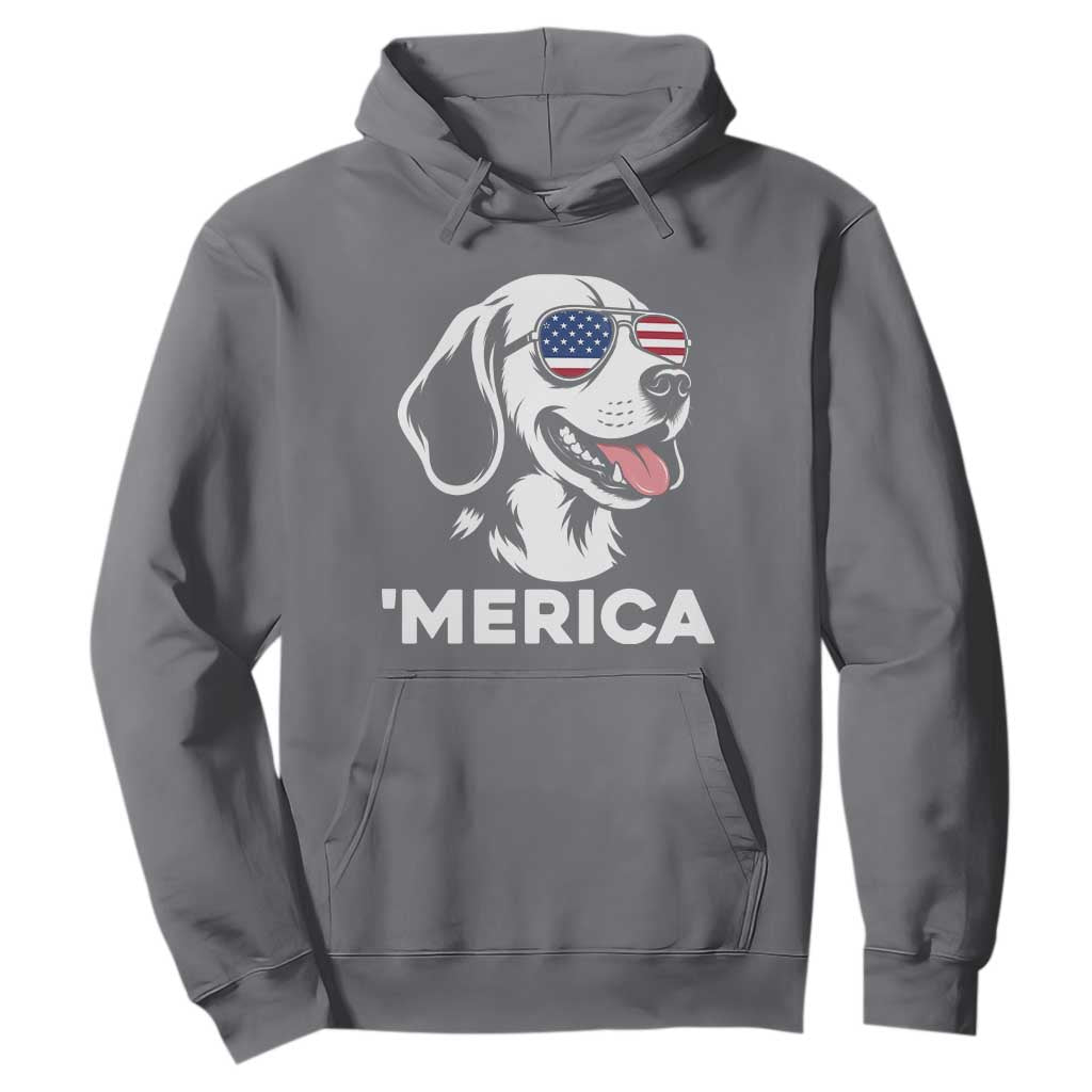 Funny Merica Beagle Lover 4th Of July Hoodie Patriotic Dog Gift