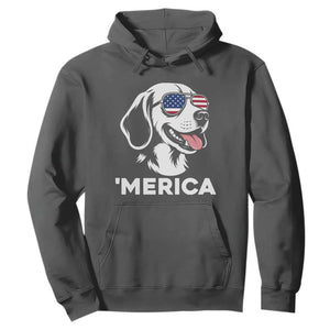 Funny Merica Beagle Lover 4th Of July Hoodie Patriotic Dog Gift