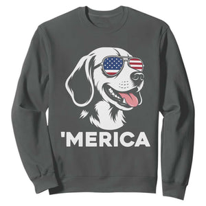 Funny Merica Beagle Lover 4th Of July Sweatshirt Patriotic Dog Gift