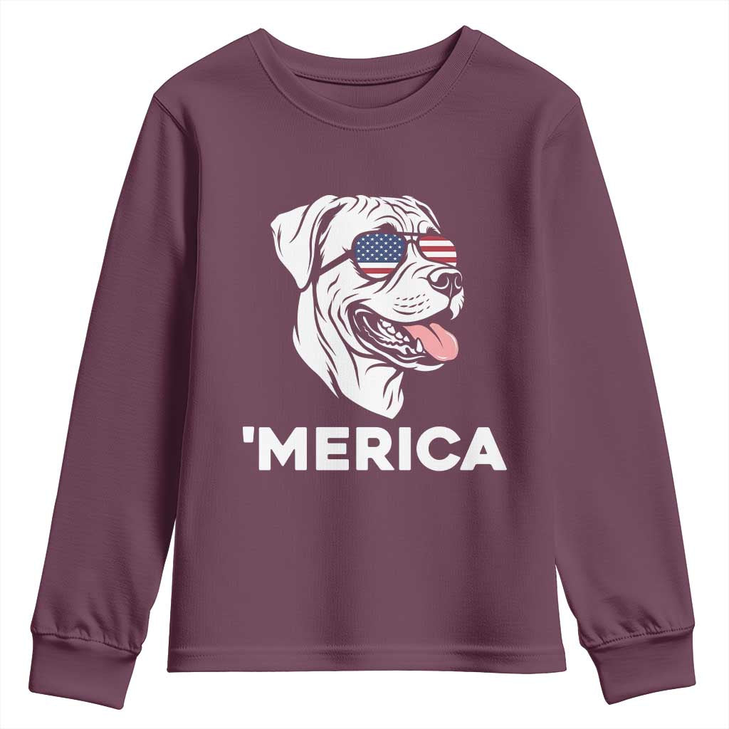 Patriotic Boxer Lover 4th Of July Dog Youth Sweatshirt American Flag Merica Pride