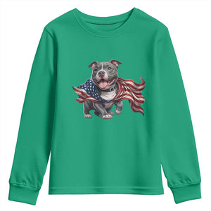 Patriotic Pitbull Dog USA Flag Youth Sweatshirt 4th Of July Pride