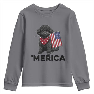 Merica Poodle Dog Lover Gift Youth Sweatshirt Patriotic 4th Of July