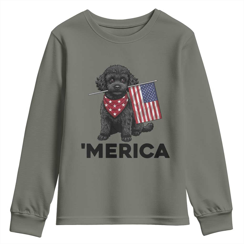 Merica Poodle Dog Lover Gift Youth Sweatshirt Patriotic 4th Of July