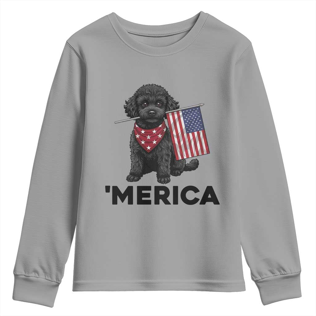 Merica Poodle Dog Lover Gift Youth Sweatshirt Patriotic 4th Of July