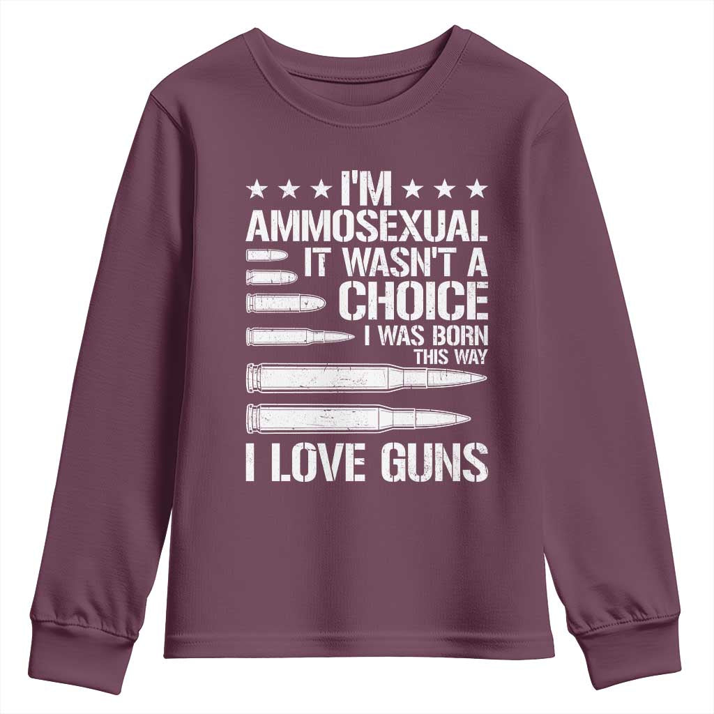 Funny Im Ammosexual Youth Sweatshirt American Freedom Second Amendment