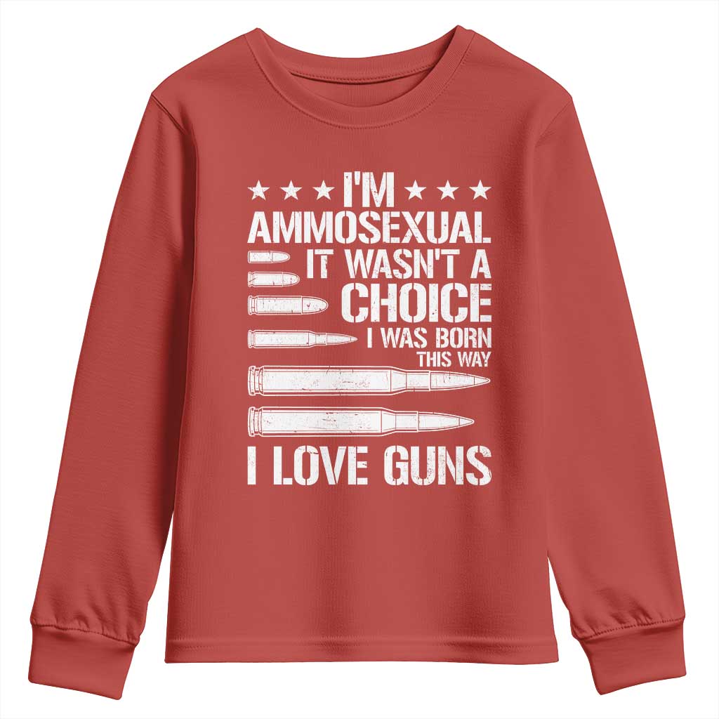 Funny Im Ammosexual Youth Sweatshirt American Freedom Second Amendment