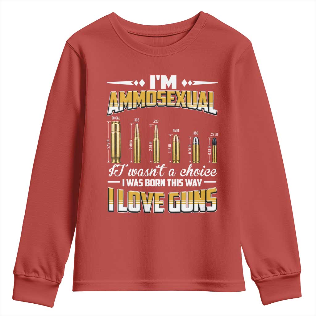 Funny Im Ammosexual Youth Sweatshirt Second Amendment Patriotic Freedom Graphic