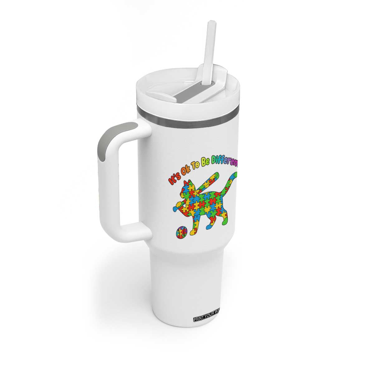 Autism Acceptance Baseball Cat Tumbler With Handle It Is Ok To Be Different TS12 Print Your Wear