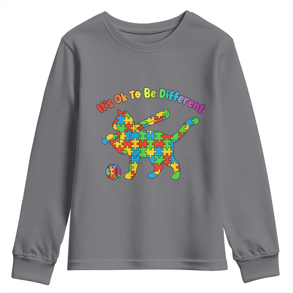 Autism Acceptance Baseball Cat Youth Sweatshirt It Is Ok To Be Different TS12 Charcoal Print Your Wear