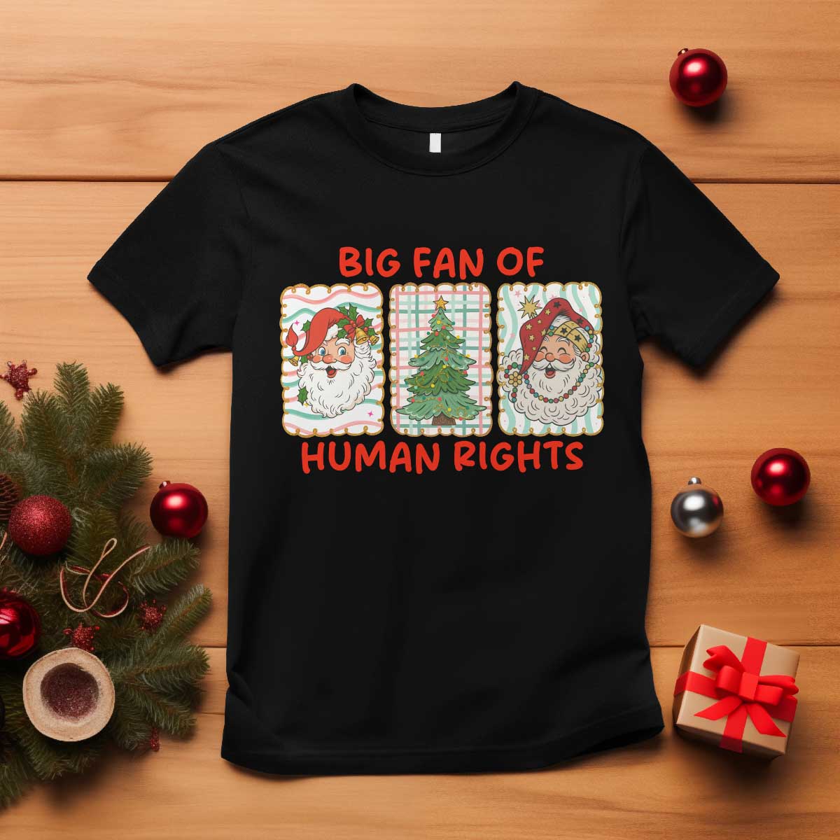 Big Fan Of Human Rights And Equality T Shirt Xmas Activism Gift TS12 Black Print Your Wear