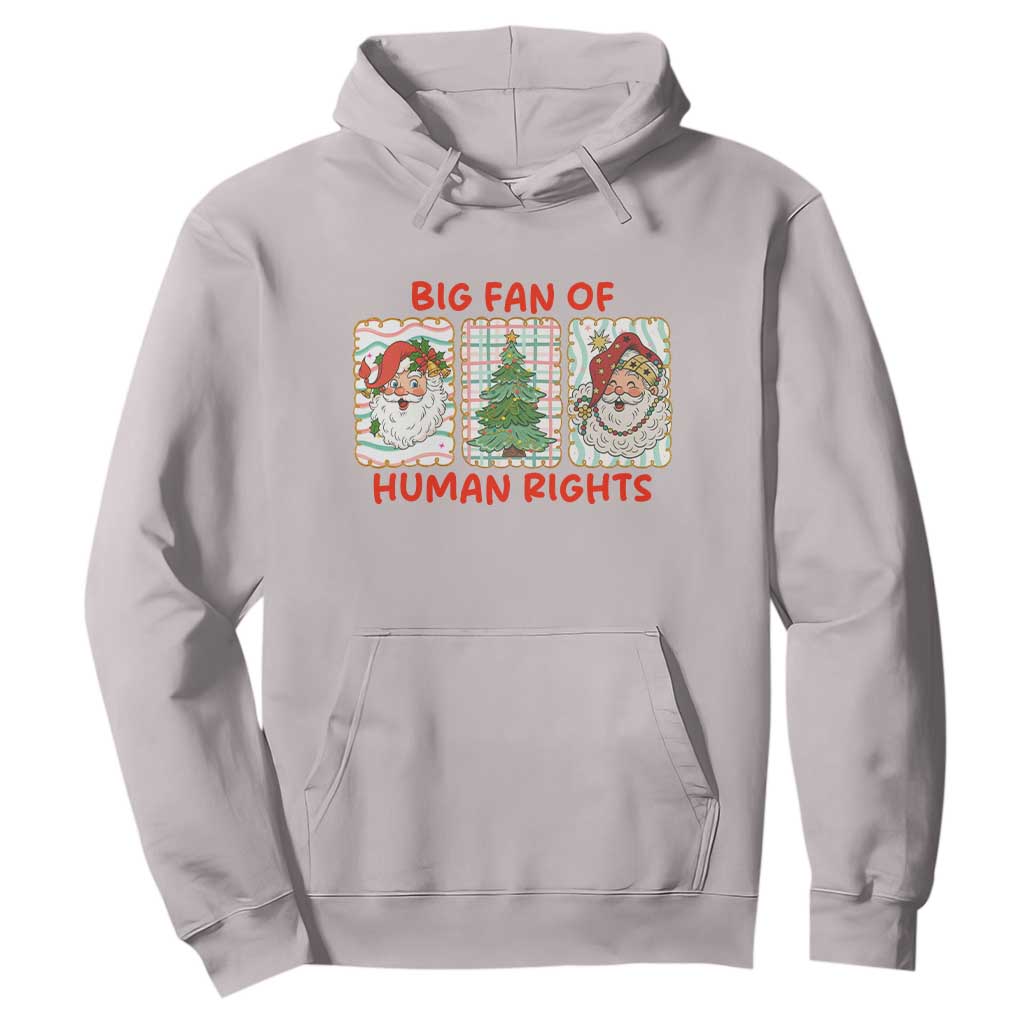 Big Fan Of Human Rights And Equality Hoodie Xmas Activism Gift TS12 Ice Gray Print Your Wear