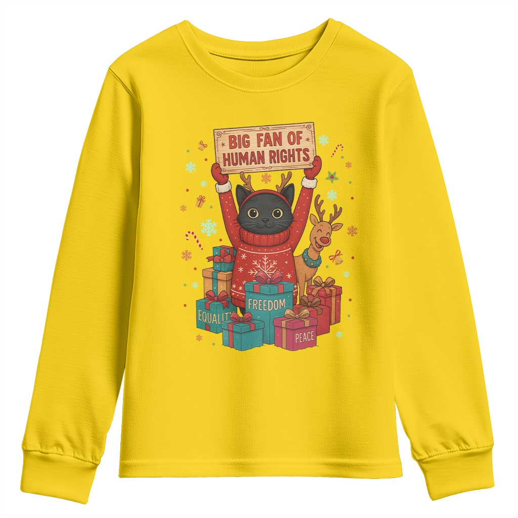 Cute Santa Cat Big Fan Of Human Rights Youth Sweatshirt Christmas Supporters TS12 Daisy Print Your Wear