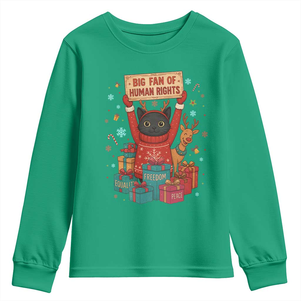 Cute Santa Cat Big Fan Of Human Rights Youth Sweatshirt Christmas Supporters TS12 Irish Green Print Your Wear