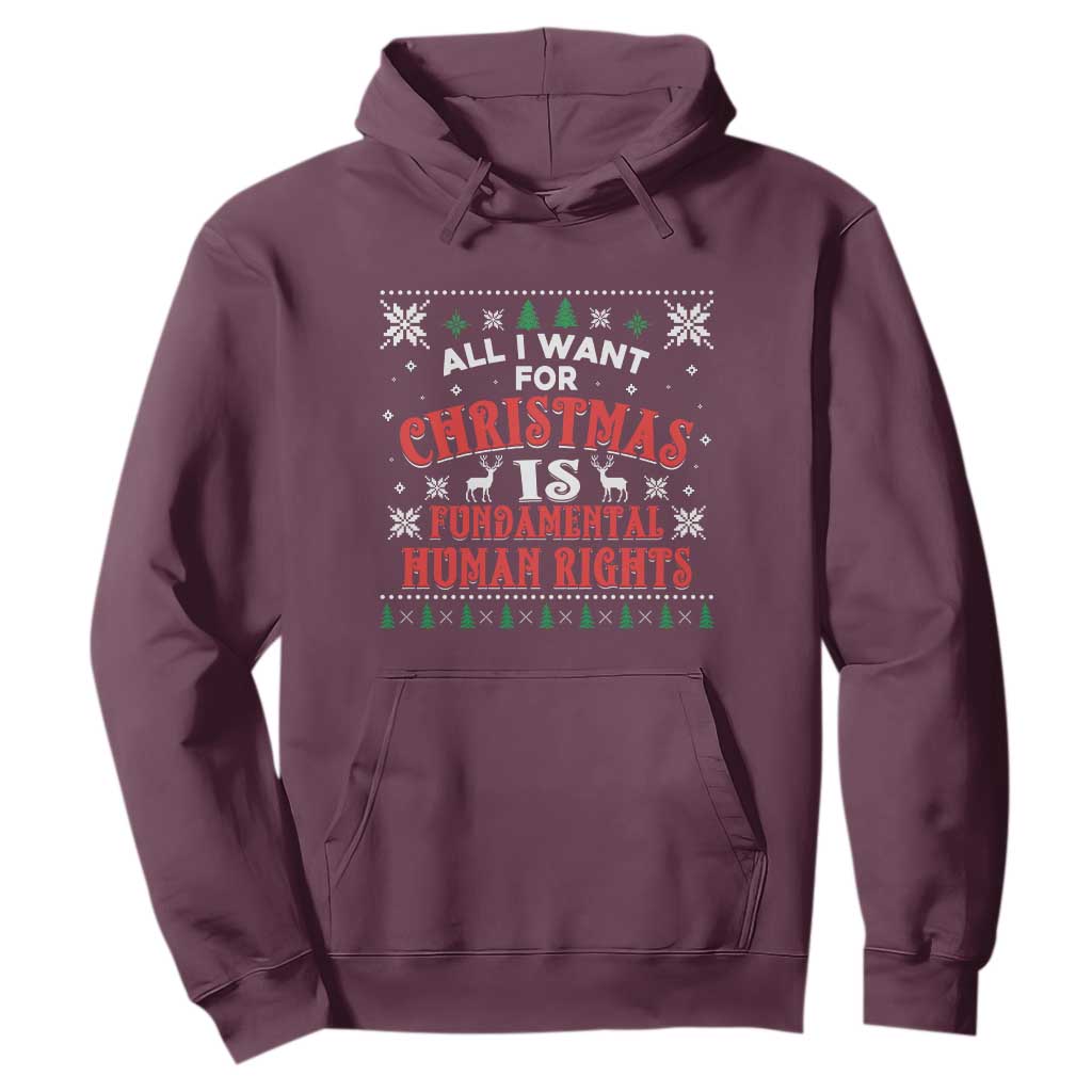 Christmas Gift For Fundamental Human Rights Supporters Hoodie - Print Your Wear