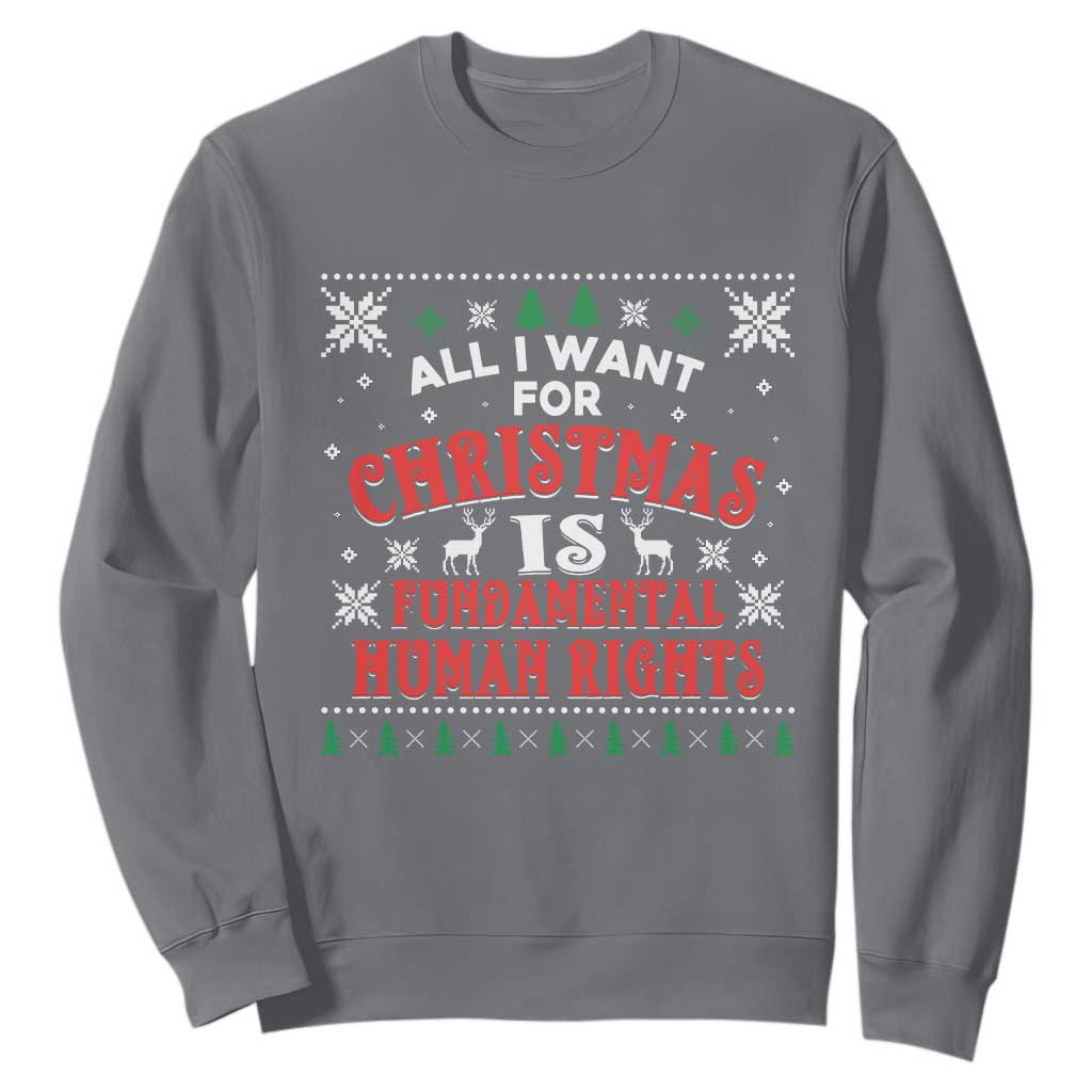 Christmas Gift For Fundamental Human Rights Supporters Sweatshirt - Print Your Wear