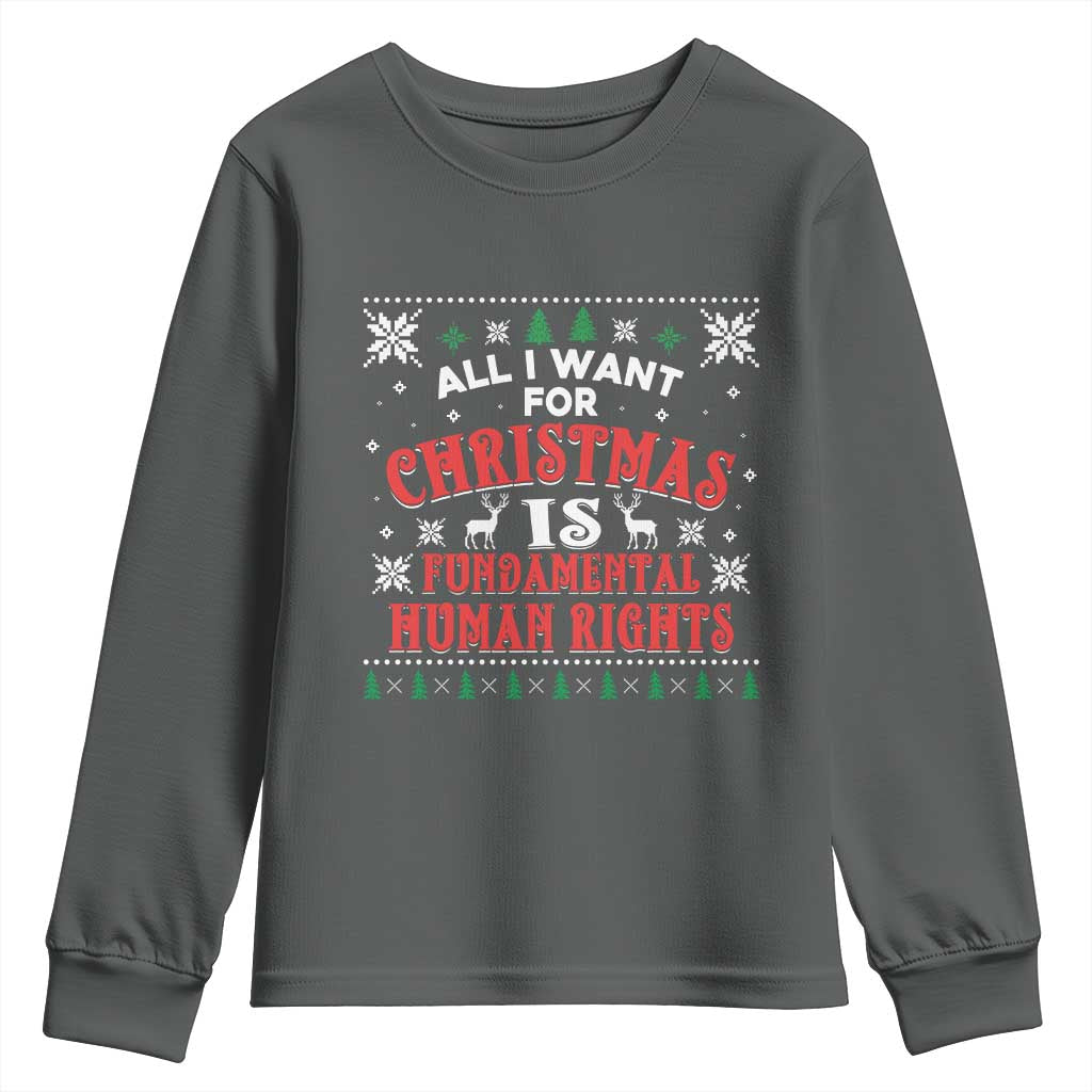 Christmas Gift For Fundamental Human Rights Supporters Youth Sweatshirt - Print Your Wear