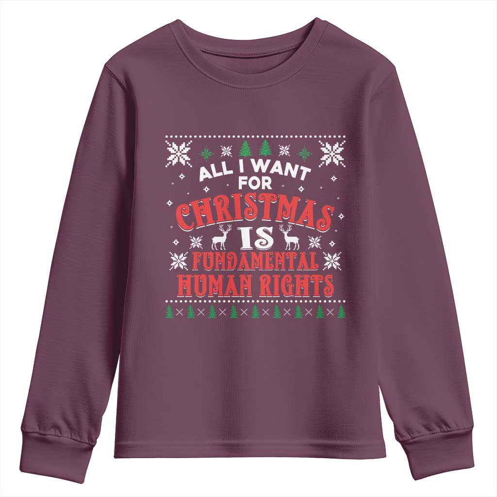 Christmas Gift For Fundamental Human Rights Supporters Youth Sweatshirt - Print Your Wear