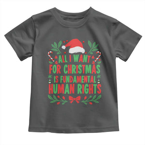All I Want For Christmas Is Fundamental Human Rights Toddler T Shirt Pro Democracy Xmas Gift TS12 Dark Heather Print Your Wear