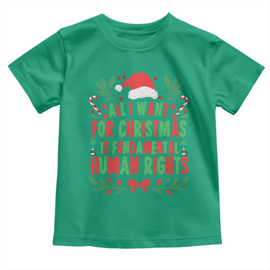 All I Want For Christmas Is Fundamental Human Rights Toddler T Shirt Pro Democracy Xmas Gift TS12 Irish Green Print Your Wear