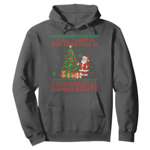 All I Want For Christmas Is Fundamental Human Rights Hoodie Equality Activist Gift TS12 Dark Heather Print Your Wear