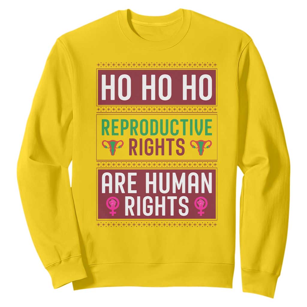 Funny Christmas Feminist Gift Sweatshirt Reproductive Rights Are Human Rights TS12 Daisy Print Your Wear