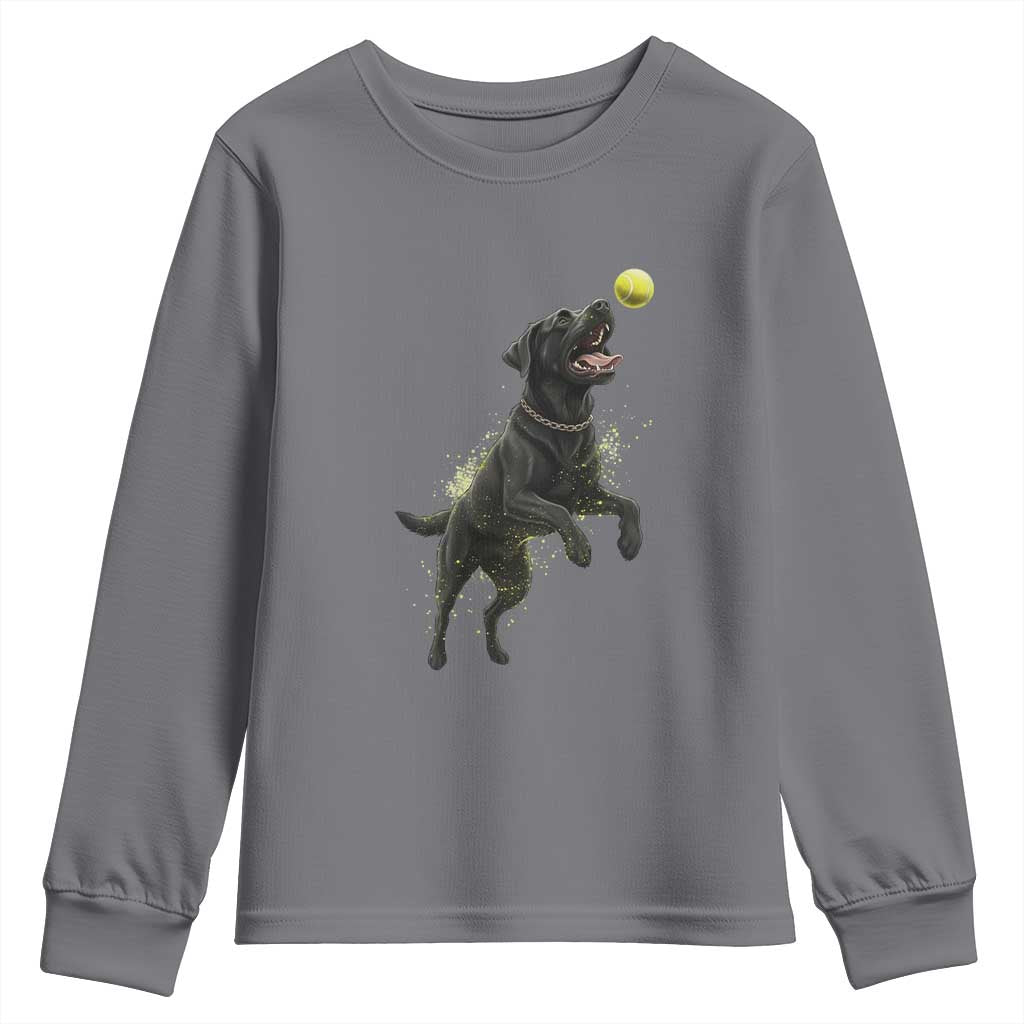 Playful Black Labrador Fetching Chasing Tennis Ball Youth Sweatshirt TS12 Charcoal Print Your Wear