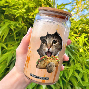 Funny Cat Eating Taco Glass Can Mexican Food Lover Gift TS12 Black Print Your Wear