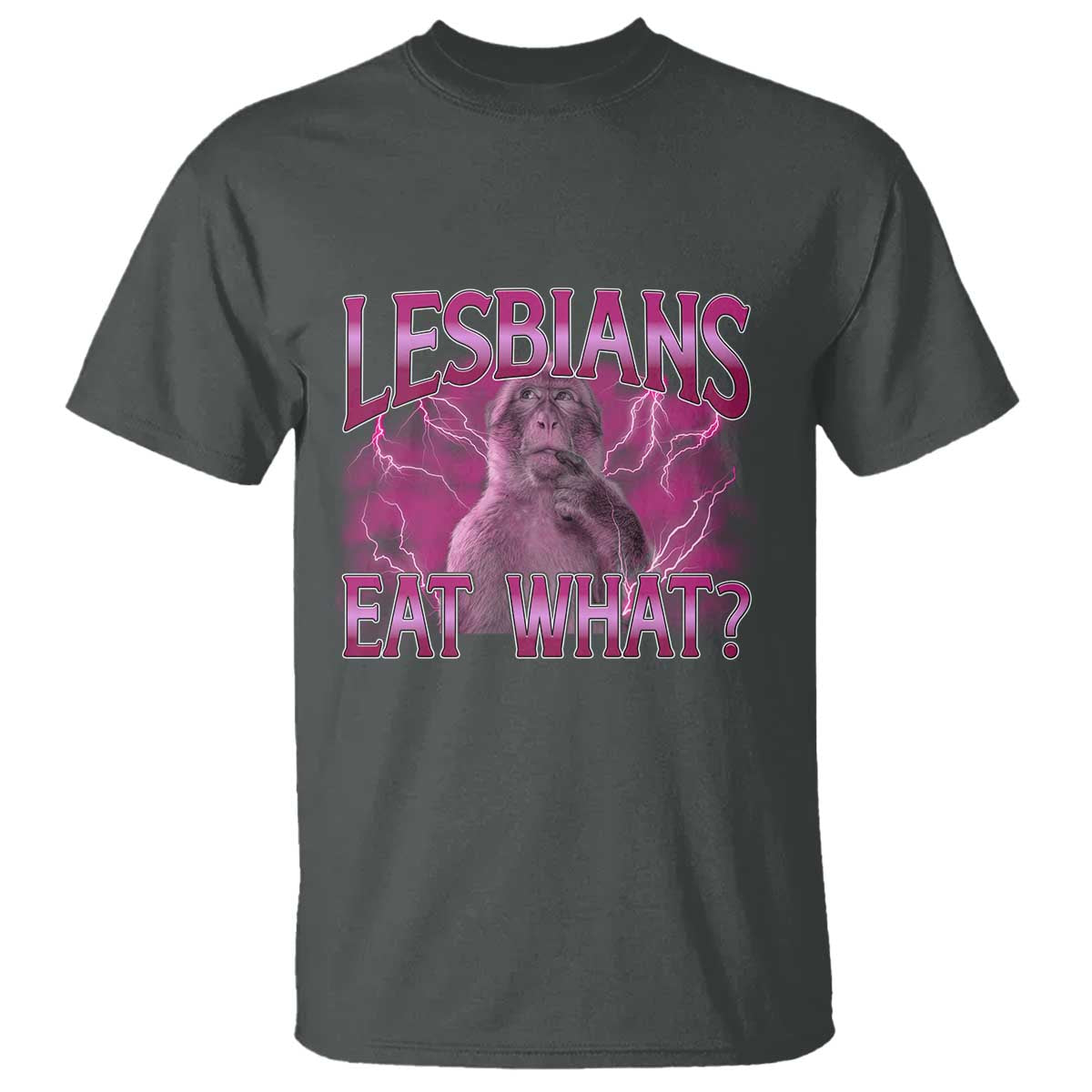 Funny Monkey Meme Lesbians Eat What T Shirt LGBTQ Pride Gift TS12 Dark Heather Print Your Wear