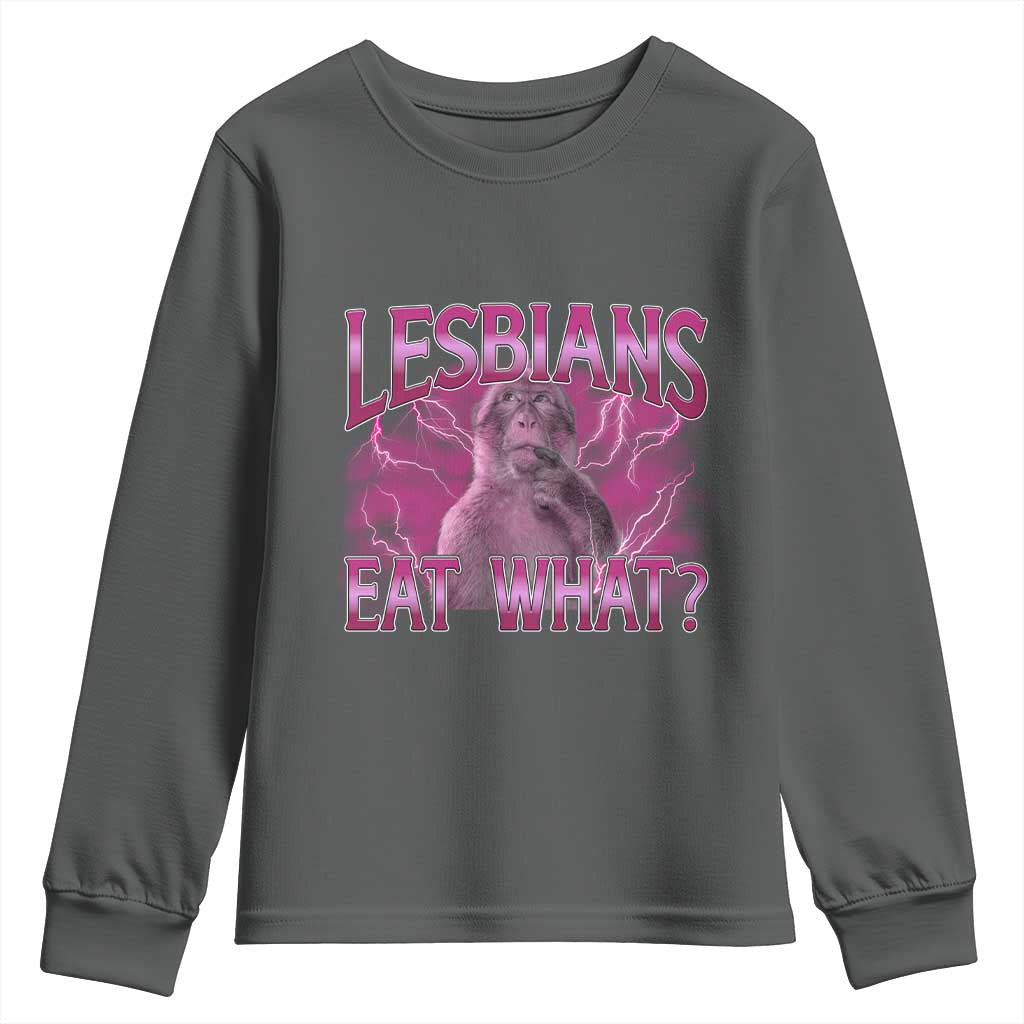 Funny Monkey Meme Lesbians Eat What Youth Sweatshirt LGBTQ Pride Gift TS12 Dark Heather Print Your Wear