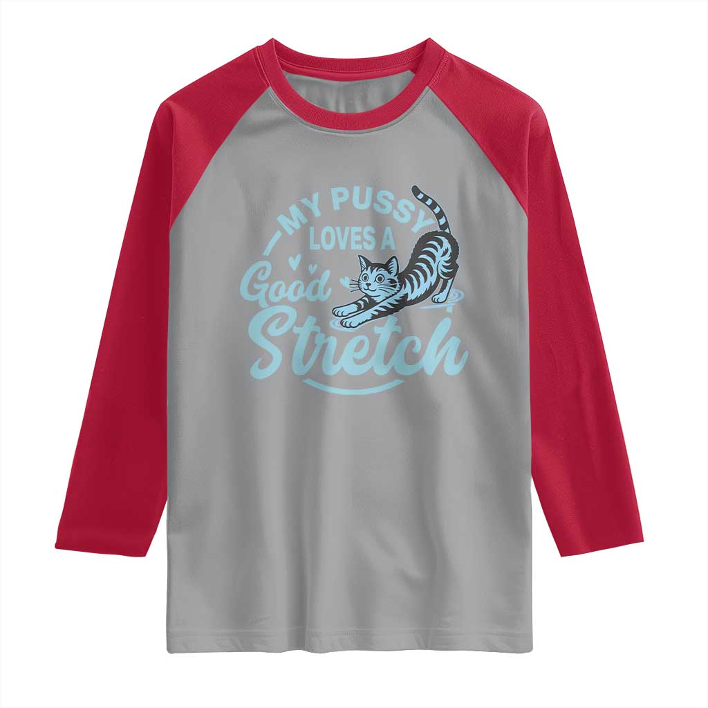 Adult Humor Cat Raglan Shirt My Pussy Loves A Good Stretch TS12 Sport Gray Red Print Your Wear