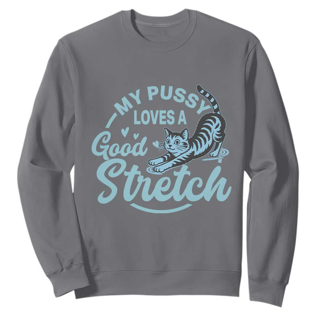 Adult Humor Cat Sweatshirt My Pussy Loves A Good Stretch TS12 Charcoal Print Your Wear