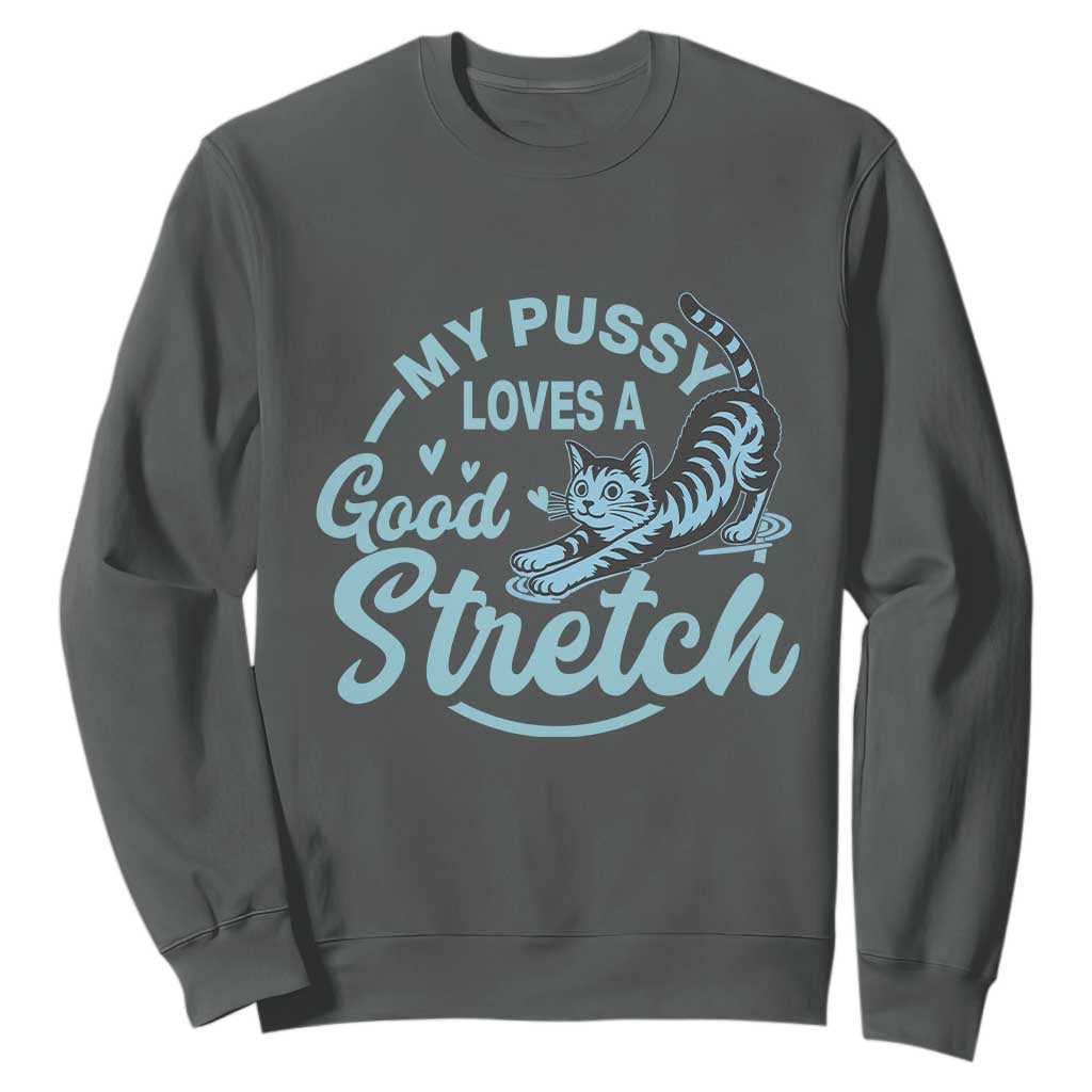Adult Humor Cat Sweatshirt My Pussy Loves A Good Stretch TS12 Dark Heather Print Your Wear