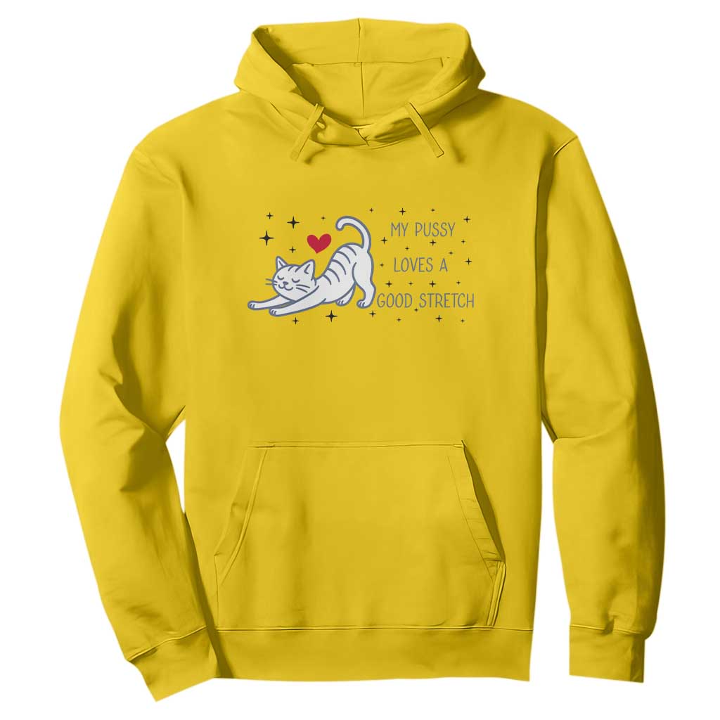 My Pussy Loves A Good Stretch Hoodie Adult Humor Cat Gift TS12 Daisy Print Your Wear