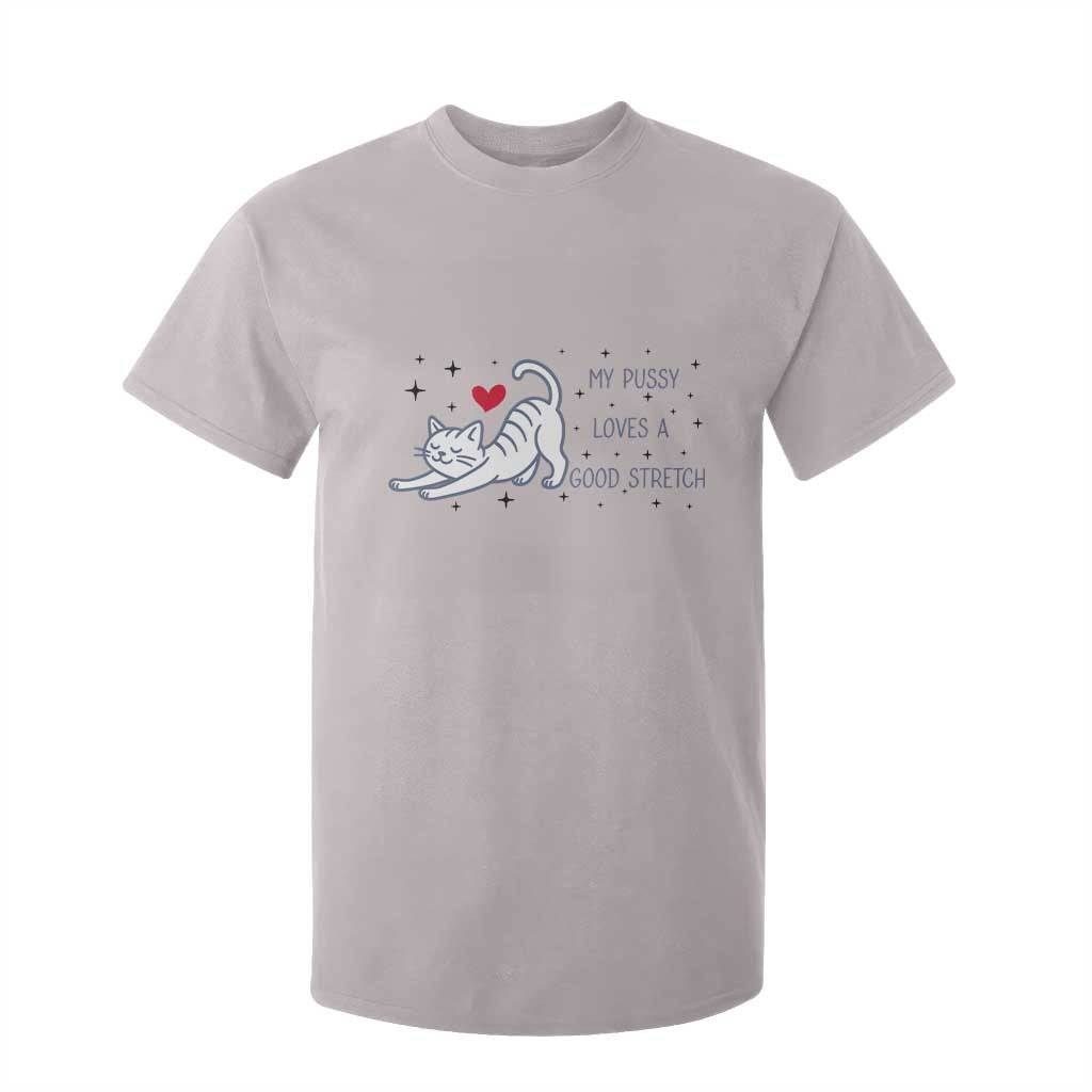 My Pussy Loves A Good Stretch T Shirt For Kid Adult Humor Cat Gift TS12 Ice Gray Print Your Wear