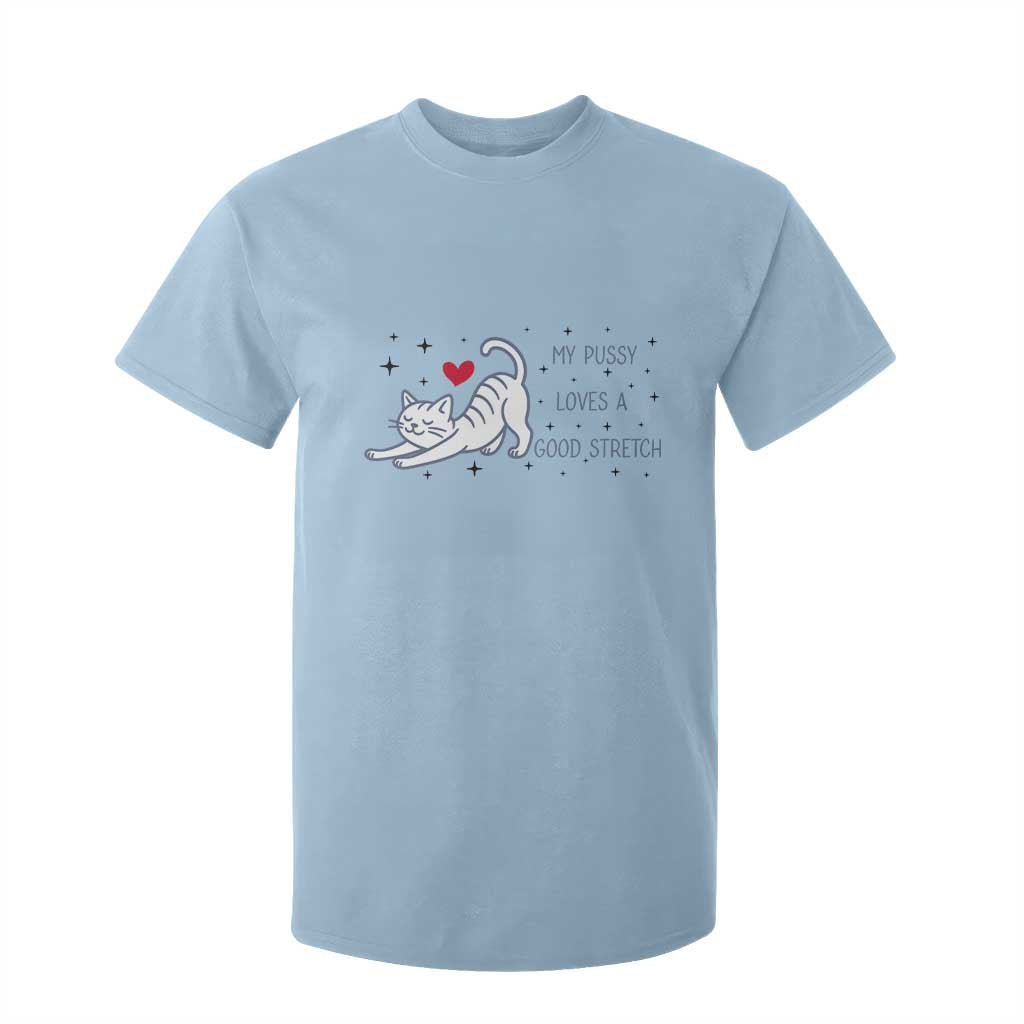 My Pussy Loves A Good Stretch T Shirt For Kid Adult Humor Cat Gift TS12 Light Blue Print Your Wear