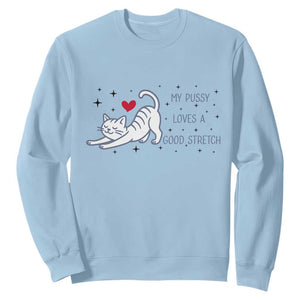 My Pussy Loves A Good Stretch Sweatshirt Adult Humor Cat Gift TS12 Light Blue Print Your Wear