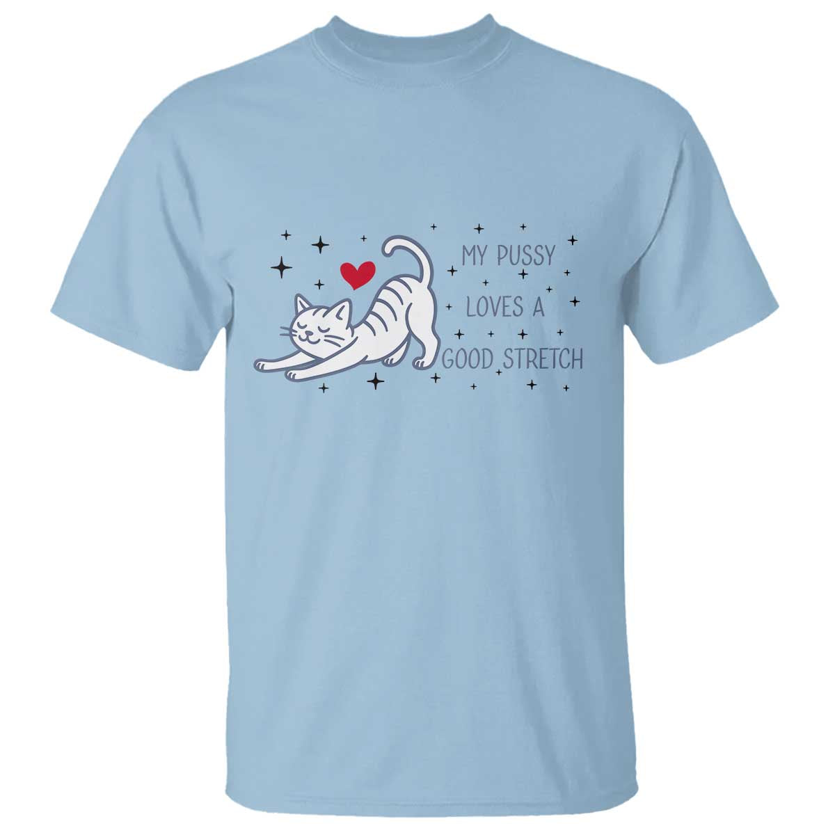 My Pussy Loves A Good Stretch T Shirt Adult Humor Cat Gift TS12 Light Blue Print Your Wear