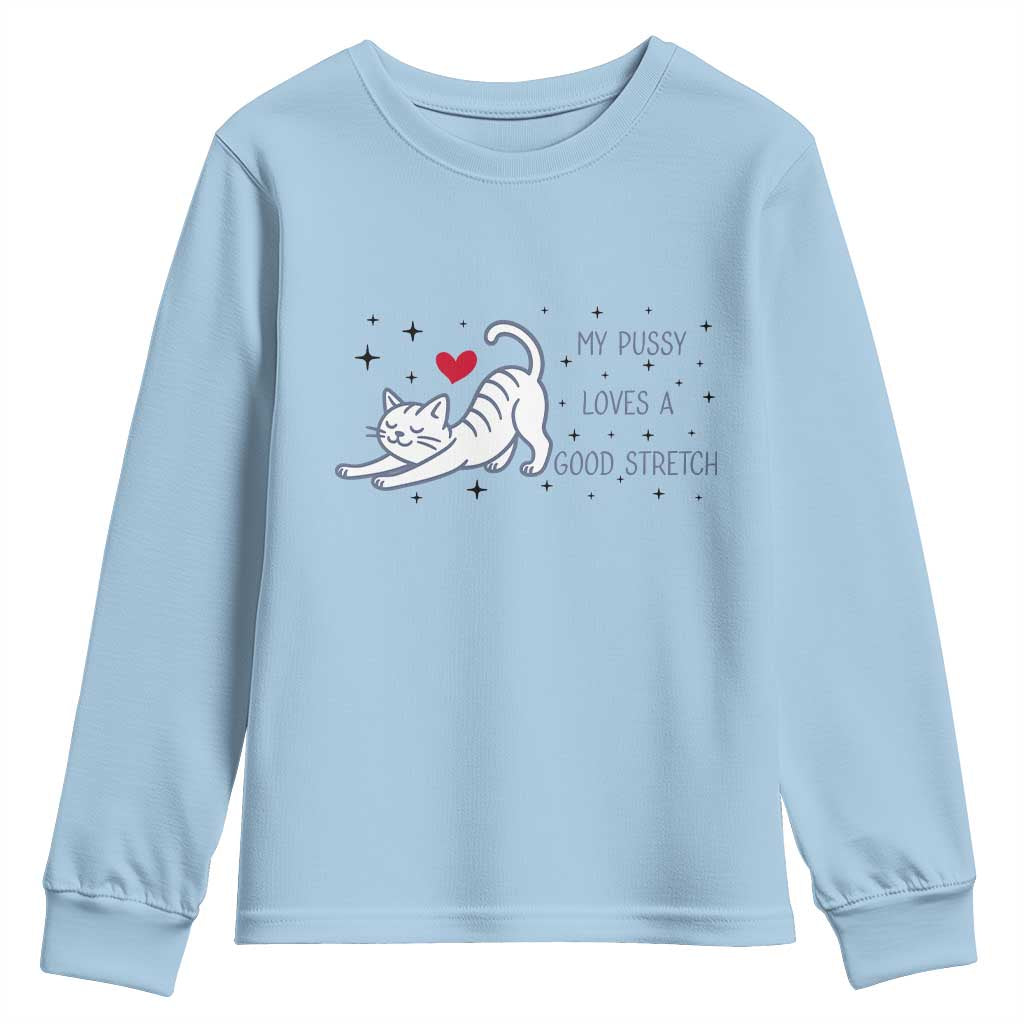 My Pussy Loves A Good Stretch Youth Sweatshirt Adult Humor Cat Gift TS12 Light Blue Print Your Wear
