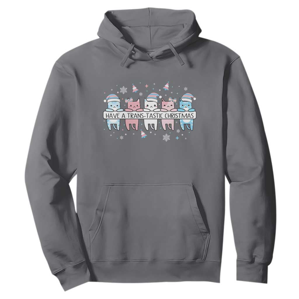 Have A Trans Tastic Christmas Gift Hoodie LGBTQ Cat Lover TS12 Charcoal Print Your Wear