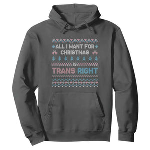 Trans Pride Ugly Xmas Hoodie All I Want For Christmas Is Trans Rights TS12 Dark Heather Print Your Wear