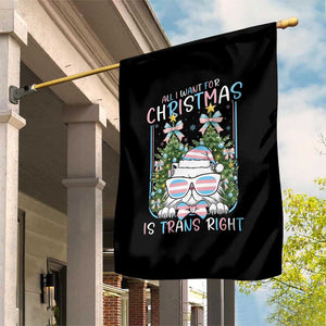 Funny Santa Cat Trans Pride Garden Flag All I Want For Christmas Is Trans Rights TS12 Print Your Wear