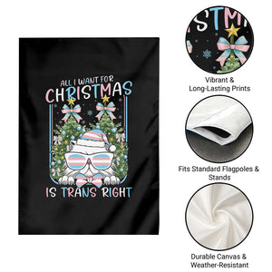 Funny Santa Cat Trans Pride Garden Flag All I Want For Christmas Is Trans Rights TS12 Print Your Wear