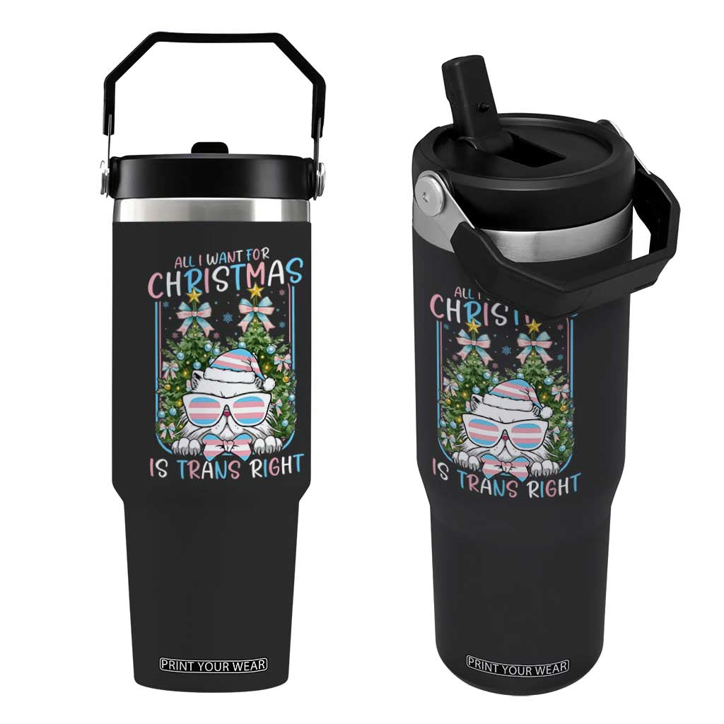 Funny Santa Cat Trans Pride Flip Straw Tumbler All I Want For Christmas Is Trans Rights TS12 One Size: 30 oz Black Print Your Wear