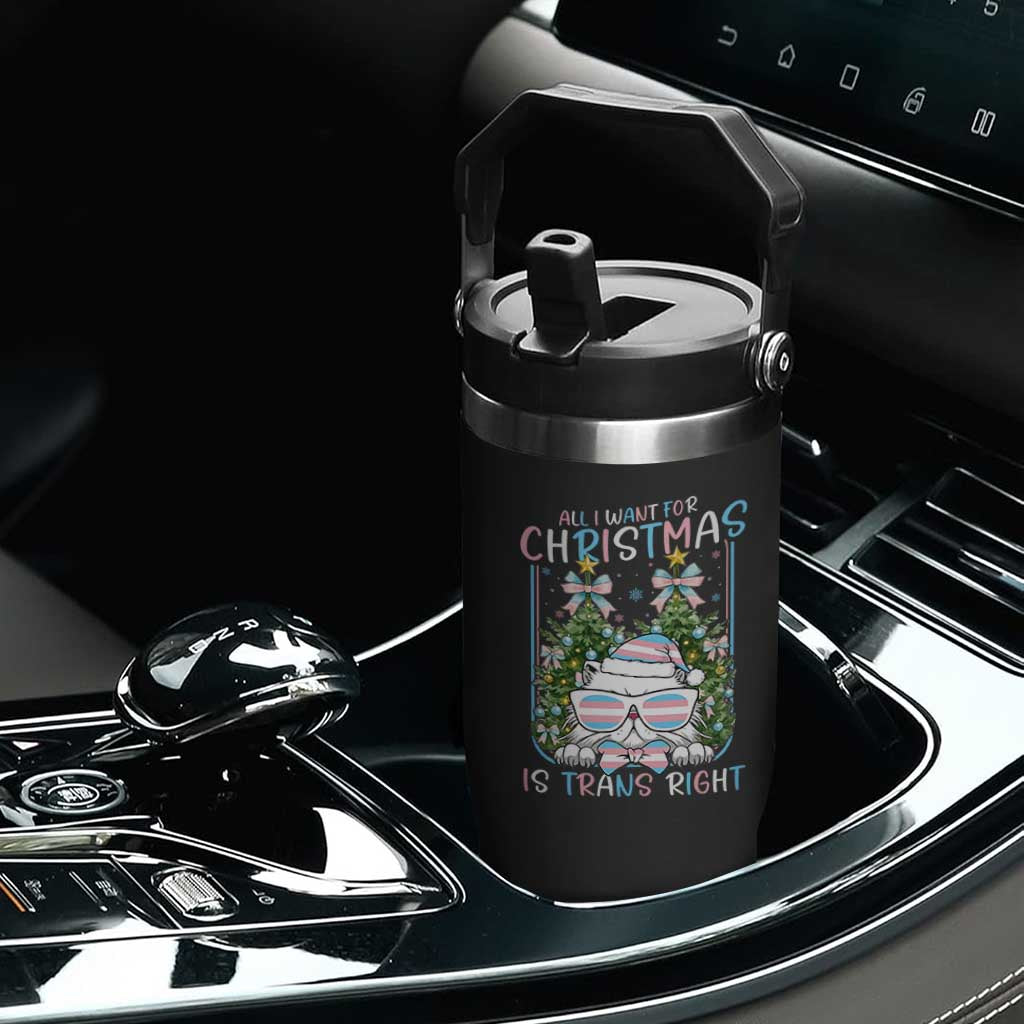 Funny Santa Cat Trans Pride Flip Straw Tumbler All I Want For Christmas Is Trans Rights TS12 Print Your Wear