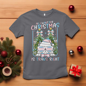 Funny Santa Cat Trans Pride T Shirt All I Want For Christmas Is Trans Rights TS12 Charcoal Print Your Wear